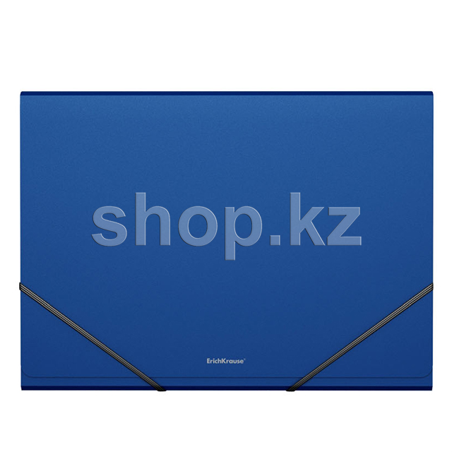 Папка-картотека ErichKrause 43038 Classic, A4, 6 отделений