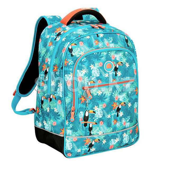 Delsey School 2018 1-CPT, Turquoise мектеп рюкзагы