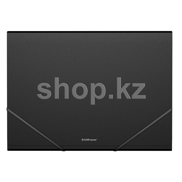 Папка-картотека ErichKrause 43039 Classic, A4, 12 бөлім