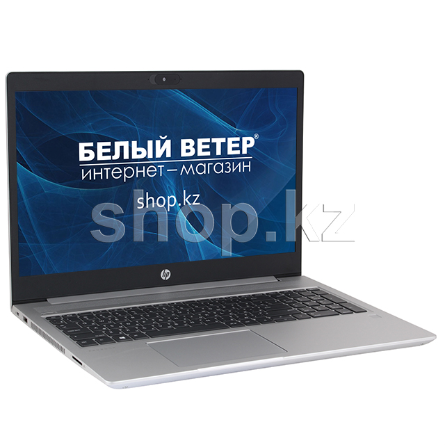 Ноутбук HP ProBook 450 G7 (9HP68EA)