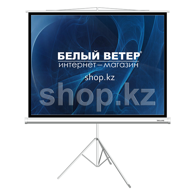 Deluxe DLS-T244x183W штативіндегі экраны