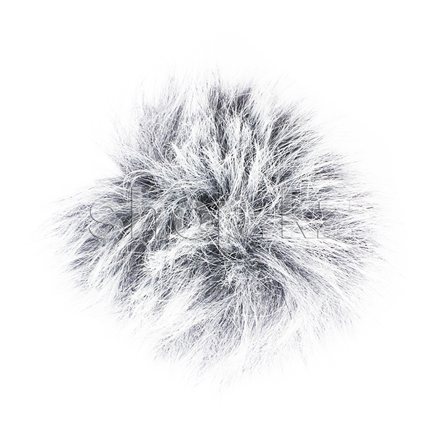 Жел қорғанысы Olympus WJ-2