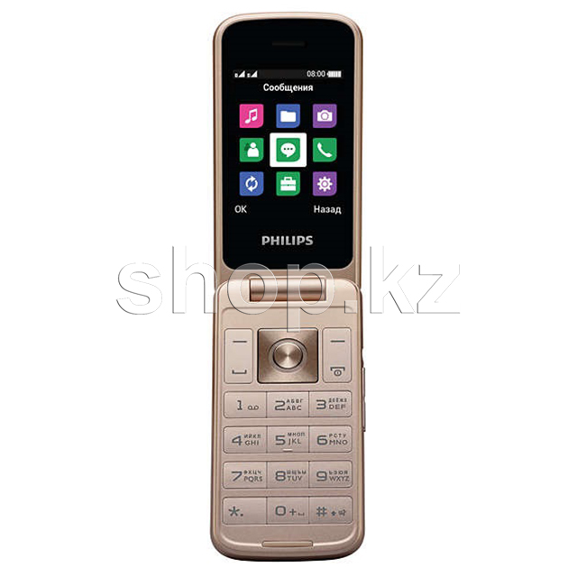 Мобильный телефон Philips Xenium E255, Black