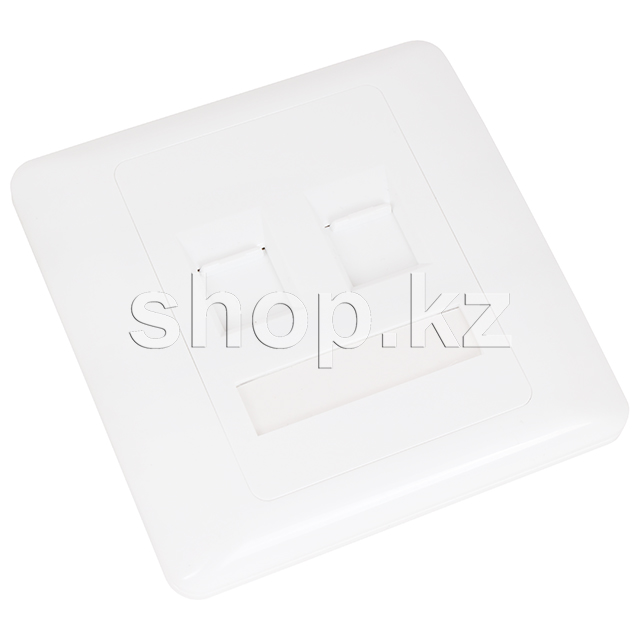 Алдыңғы Панель, 2 порт, Ship A160-2 түпнұсқа, OEM