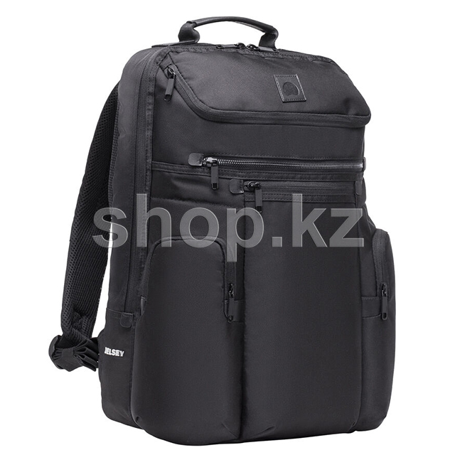 Delsey ciel outlet backpack