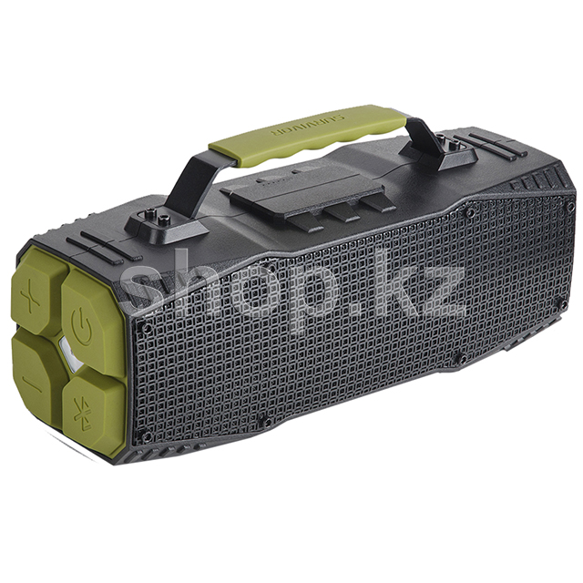 Акустическая система DreamWave Survivor (1.0) - Green