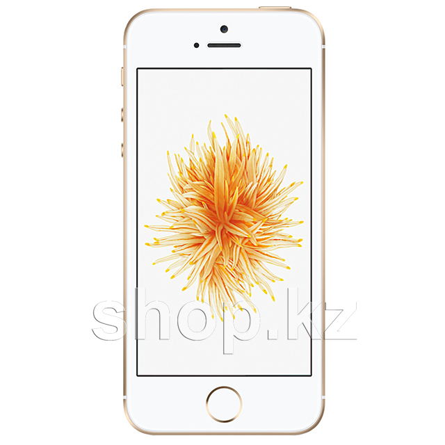 Смартфон Apple iPhone SE, 16Gb, Gold
