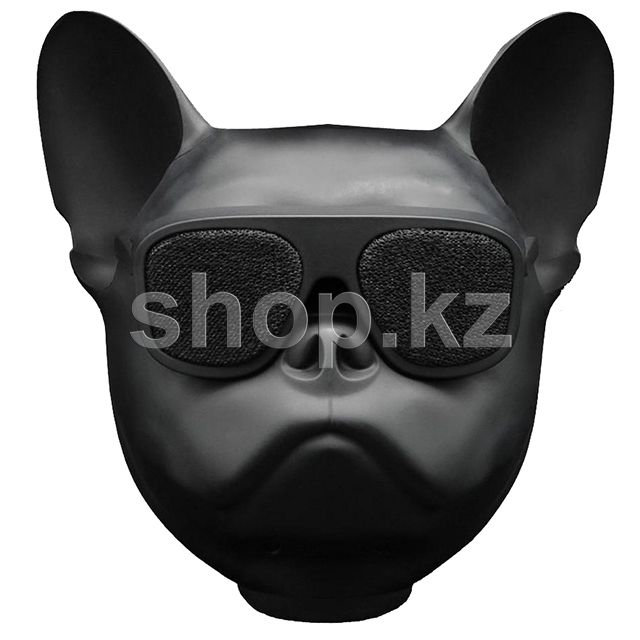 Колонка портативная AeroSystem AeroBull Nano (2.1), Matt Black