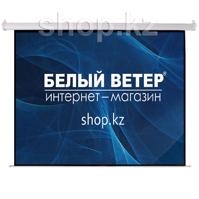 Экран настенный Mr.Pixel MSPSBC100V2