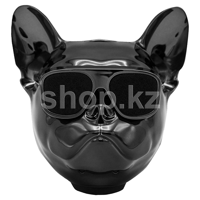 Колонка портативная AeroSystem AeroBull Nano (2.1), Chrome Black