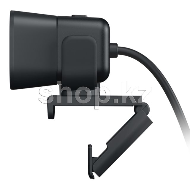 Жігіттер веб-камерада қыбырлайды